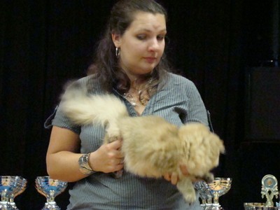 20121021_294 (Expo)